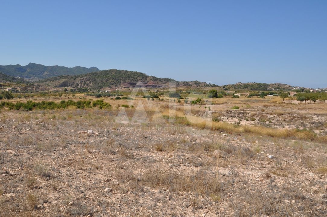 Terrain de  à Murcia- SIP150397 - Photo - 7