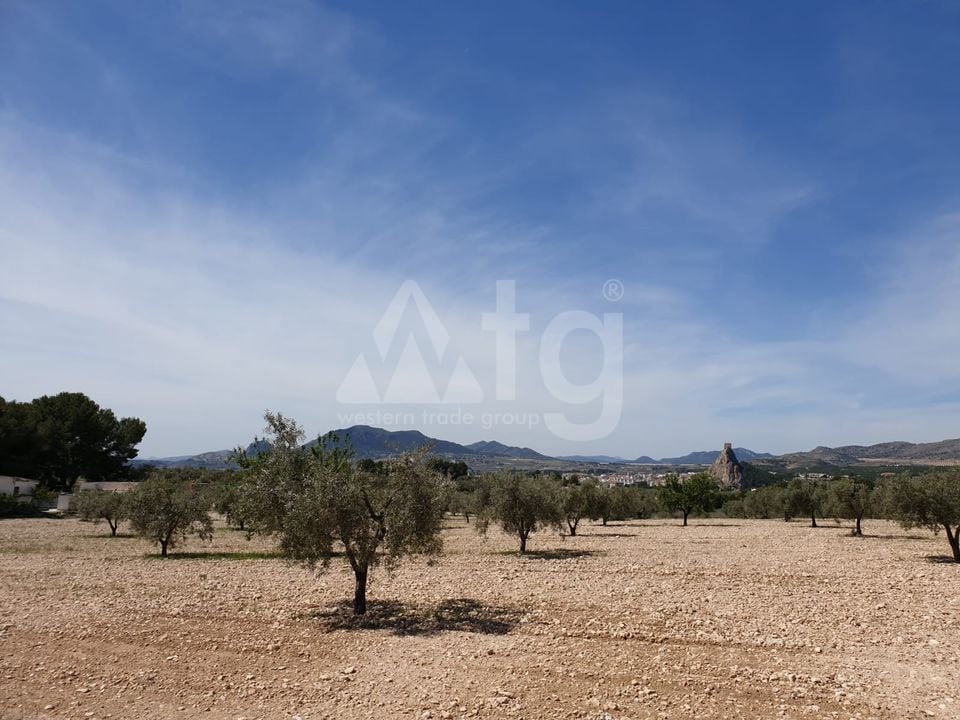 Parcela de  en Sax- SIP152975 - Foto - 1