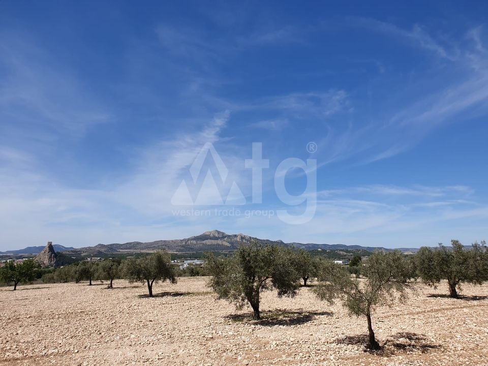 Parcela de  en Sax- SIP152975 - Foto - 3