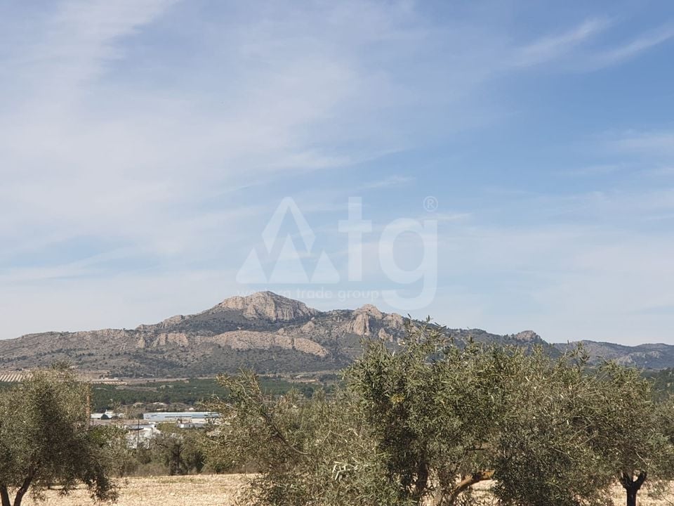 Parcela de  en Sax- SIP152975 - Foto - 4