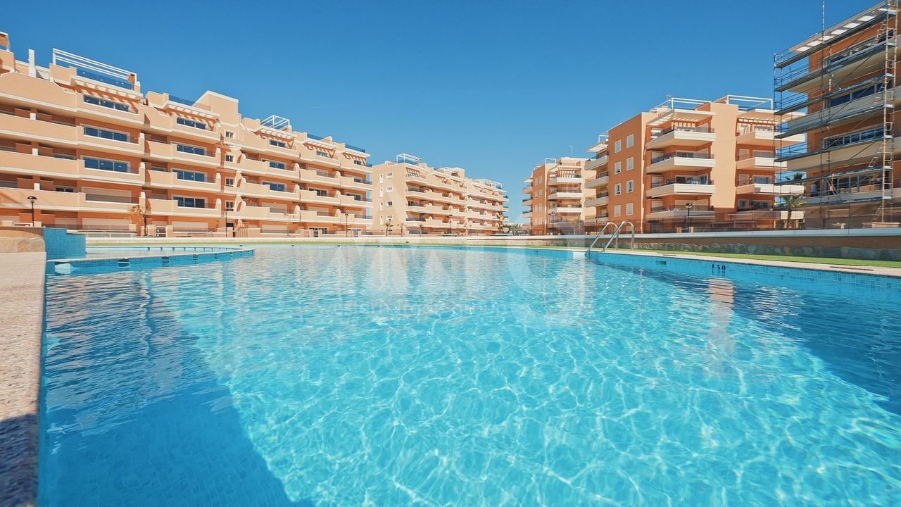 Appartement de 3 chambres à Guardamar del Segura - NS79067 - Photo - 4