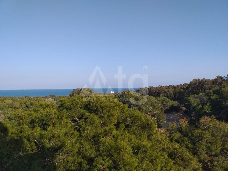 Appartement de 3 chambres à Guardamar del Segura - PM82169 - Photo - 19