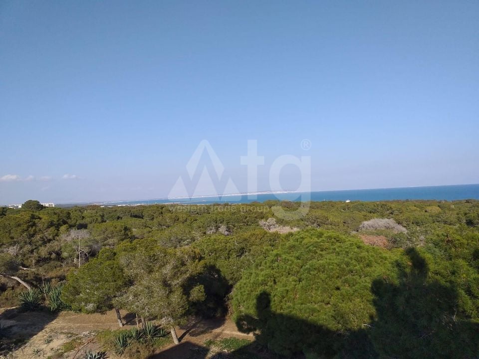Appartement de 3 chambres à Guardamar del Segura - PM82169 - Photo - 20