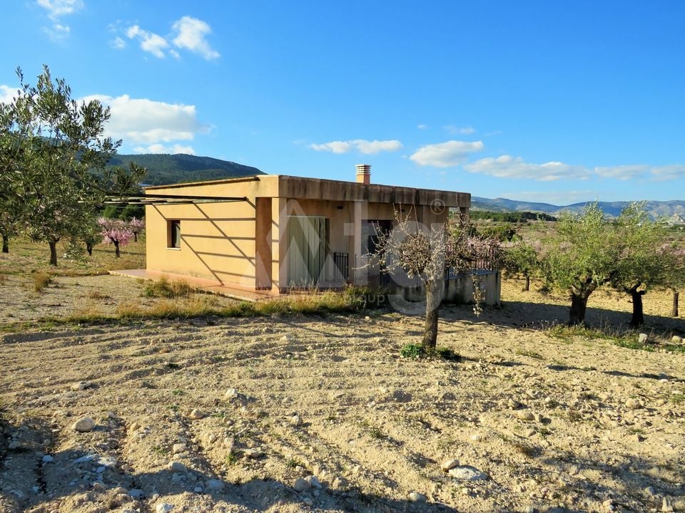 1 bedroom Villa in Castalla - WI62462 - Photo - 1