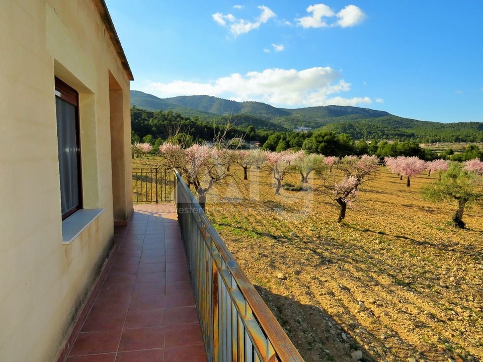 1 bedroom Villa in Castalla - WI62462 - Photo - 9