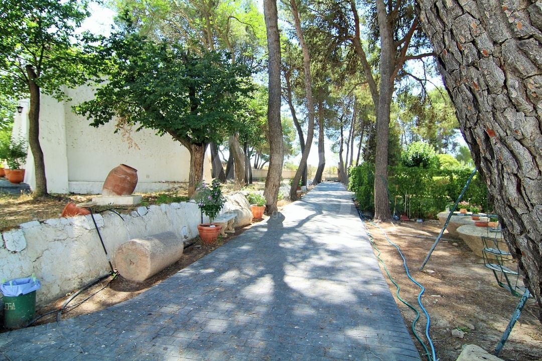 26 bedroom Villa in Yecla - WI62475 - Photo - 11