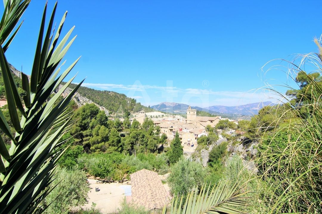 Villa de 7 chambres à Penaguila - WI62483 - Photo - 25