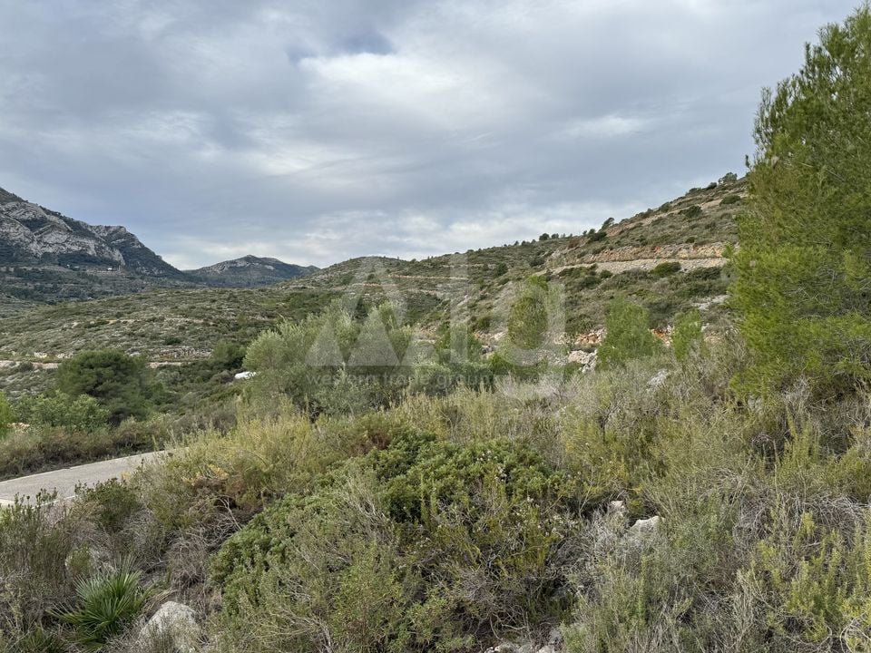 Parcela de  en Pedreguer- PVJ51479 - Foto - 5