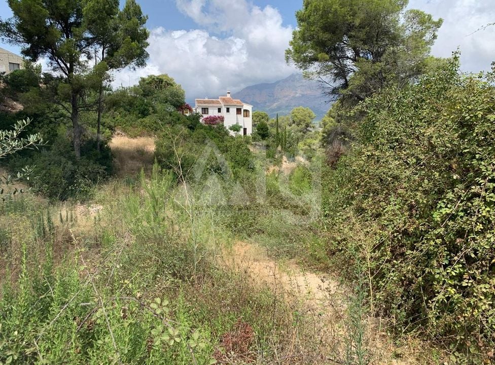 Parcela de  en Jávea- PVJ51507 - Foto - 1