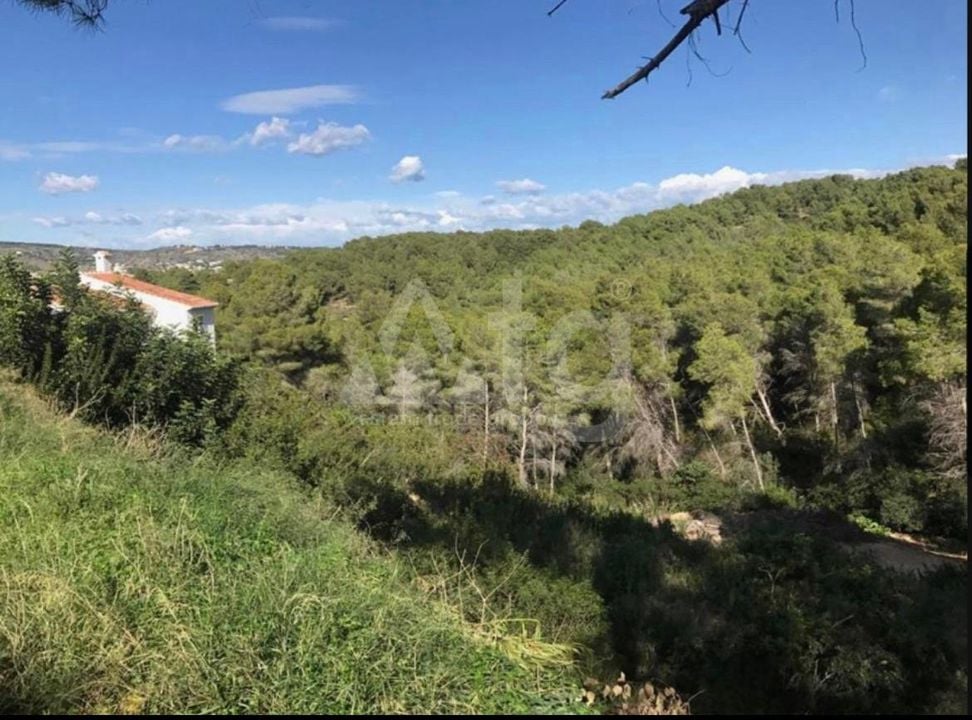 Участок в Хавеа, - PVJ51508 - Фото - 1