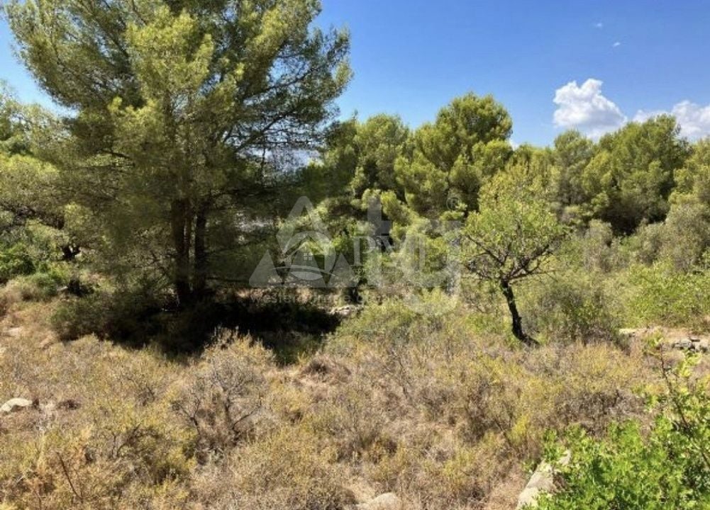  Grundstück in Xàbia- PVJ51512 - Foto - 1