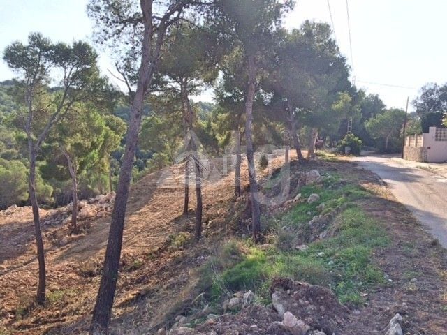  Grundstück in Xàbia- PVJ51523 - Foto - 1