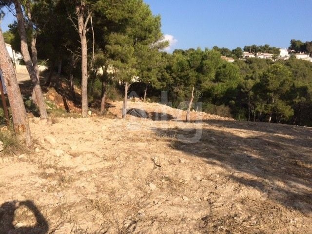  Grundstück in Xàbia- PVJ51523 - Foto - 4