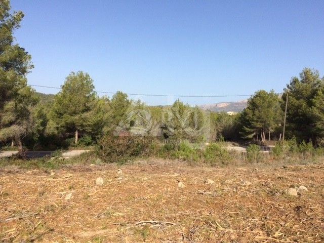  Pozemek v Javea- PVJ51528 - Foto - 1