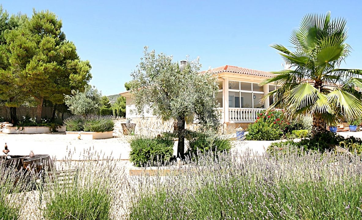 Villa de 4 habitaciones en Onil - SLE52118 - Foto - 25