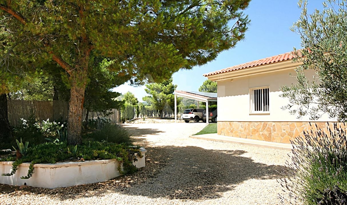 Villa de 4 habitaciones en Onil - SLE52118 - Foto - 26