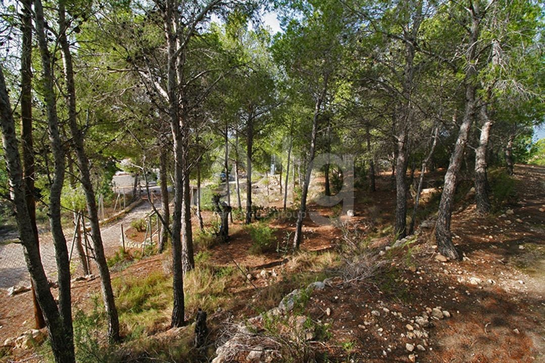  Pozemek v Altea- SLE52119 - Foto - 6