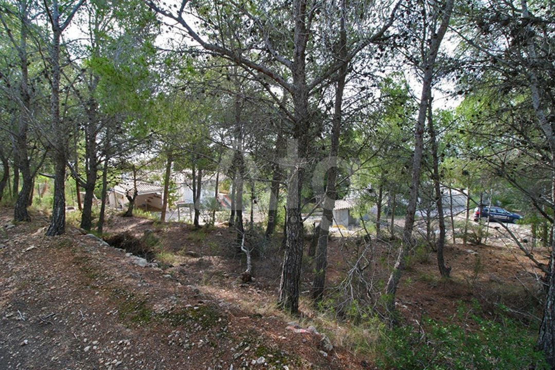  Pozemek v Altea- SLE52119 - Foto - 8