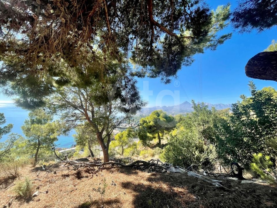 3 bedroom Villa in Altea - SLE73969 - Photo - 31