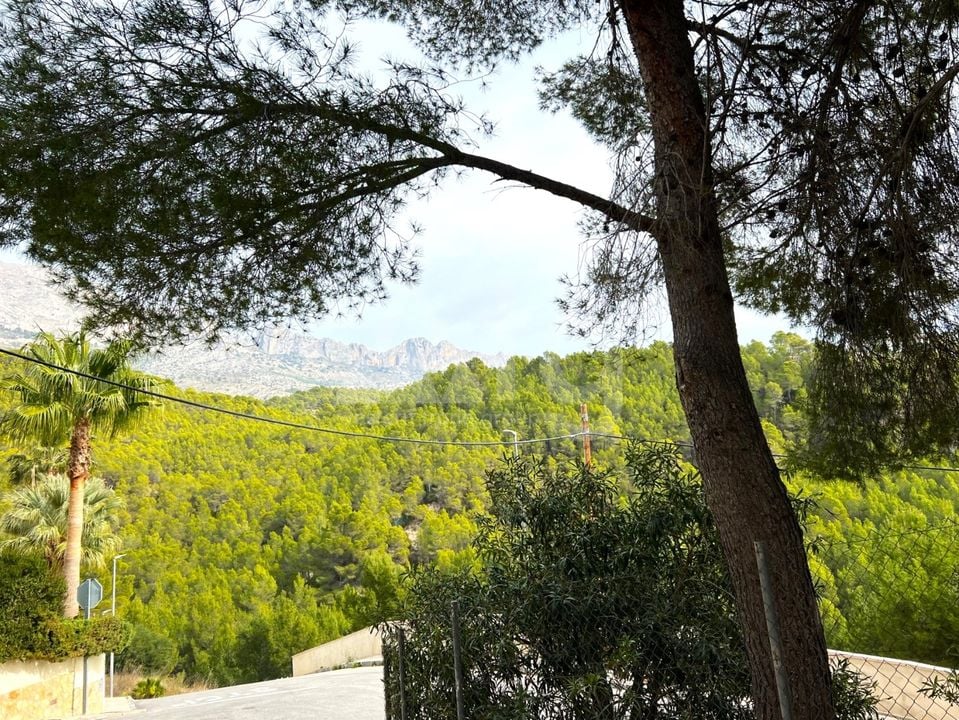 Villa de 4 chambres à Altea - SLE52351 - Photo - 21