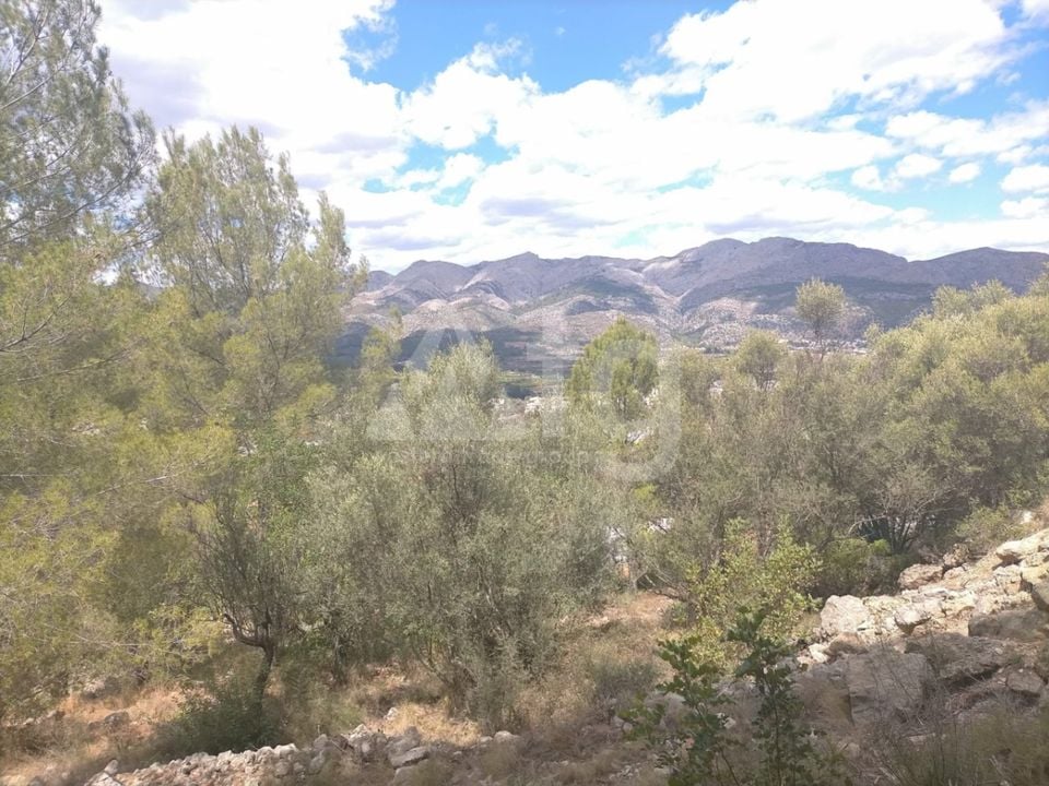 Parcelă cu  în Orba- OH54970 - Imagini - 8