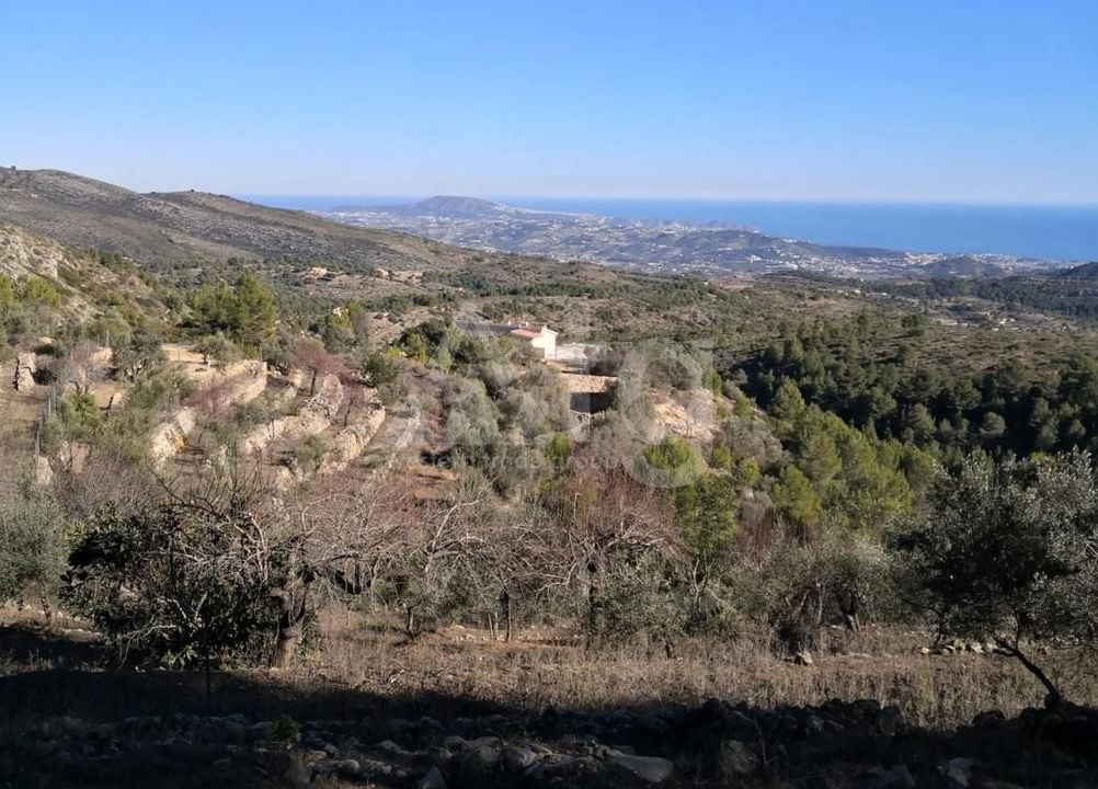 Parcela de  en Jalón- ICB55205 - Foto - 1