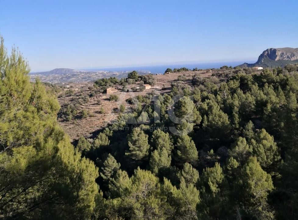 Parcela de  en Jalón- ICB55205 - Foto - 5