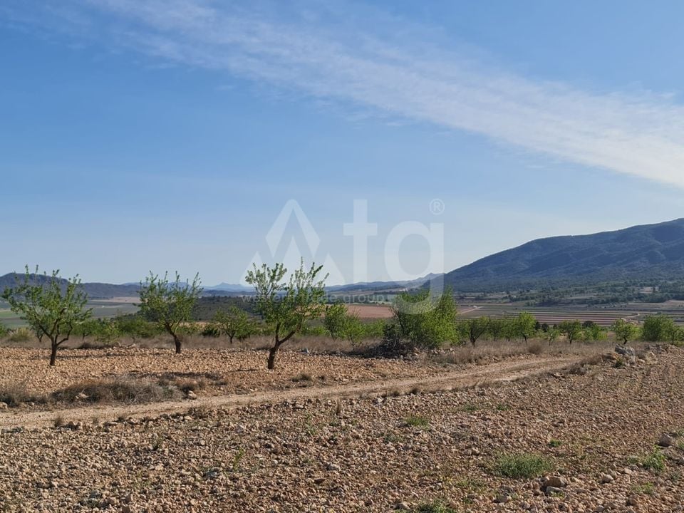  Pozemek v Murcia- SIP67523 - Foto - 6