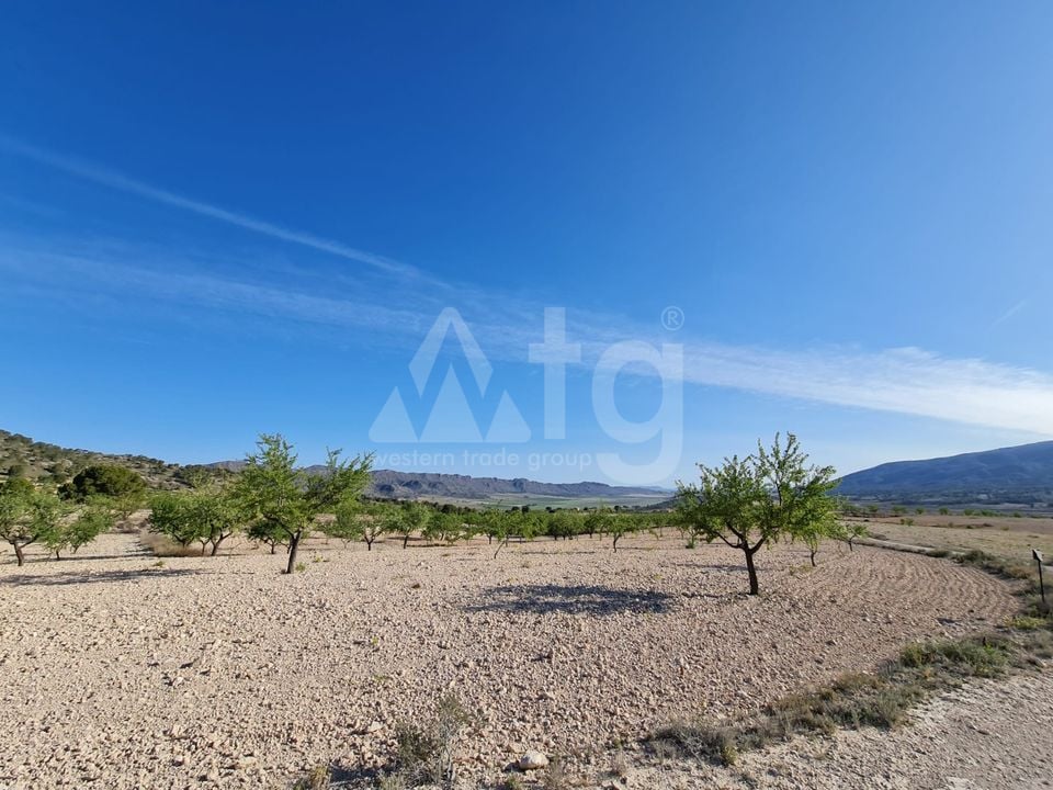  Pozemek v Murcia- SIP67523 - Foto - 11