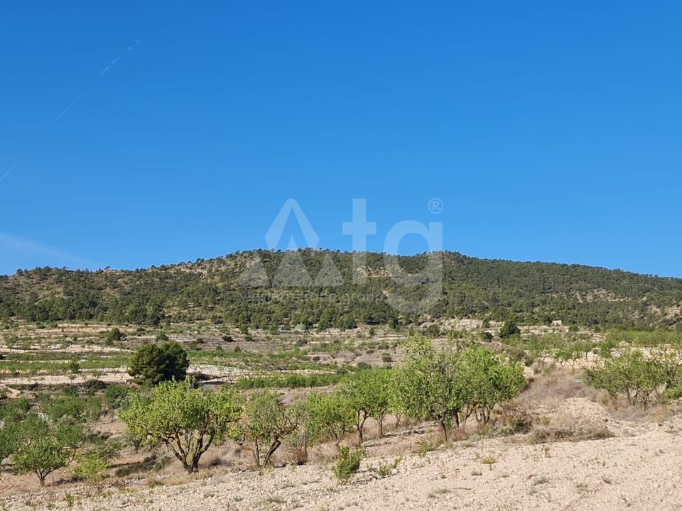  Pozemek v Murcia- SIP67523 - Foto - 13
