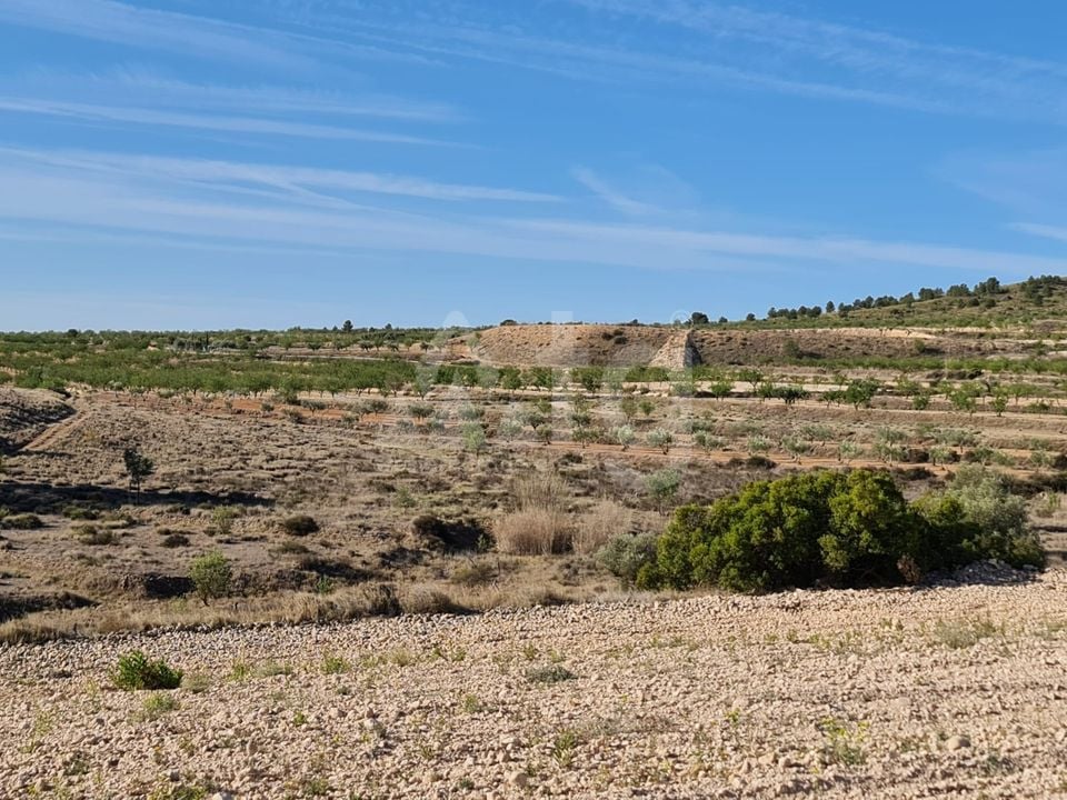  Pozemek v Murcia- SIP67523 - Foto - 12