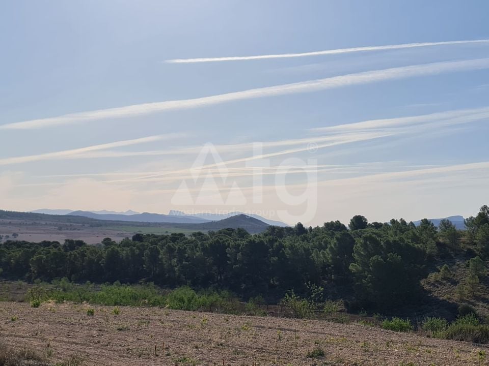  Pozemek v Murcia- SIP67523 - Foto - 14