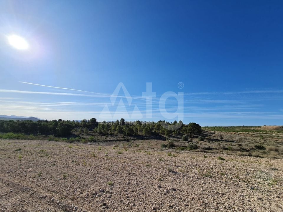  Pozemek v Murcia- SIP67523 - Foto - 15