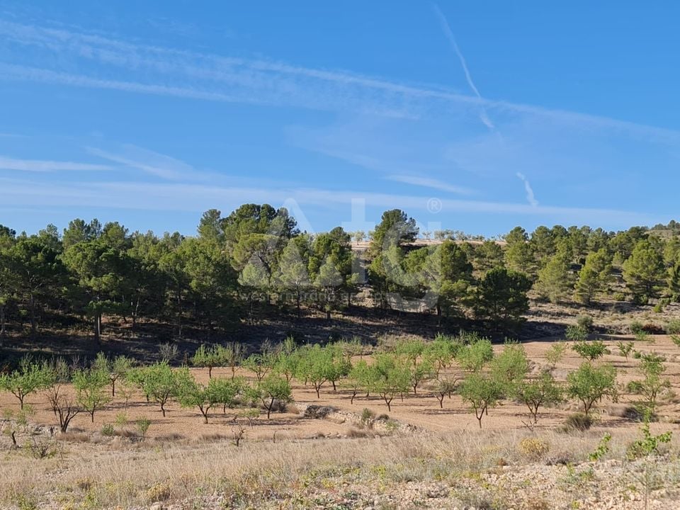  Pozemek v Murcia- SIP67523 - Foto - 18