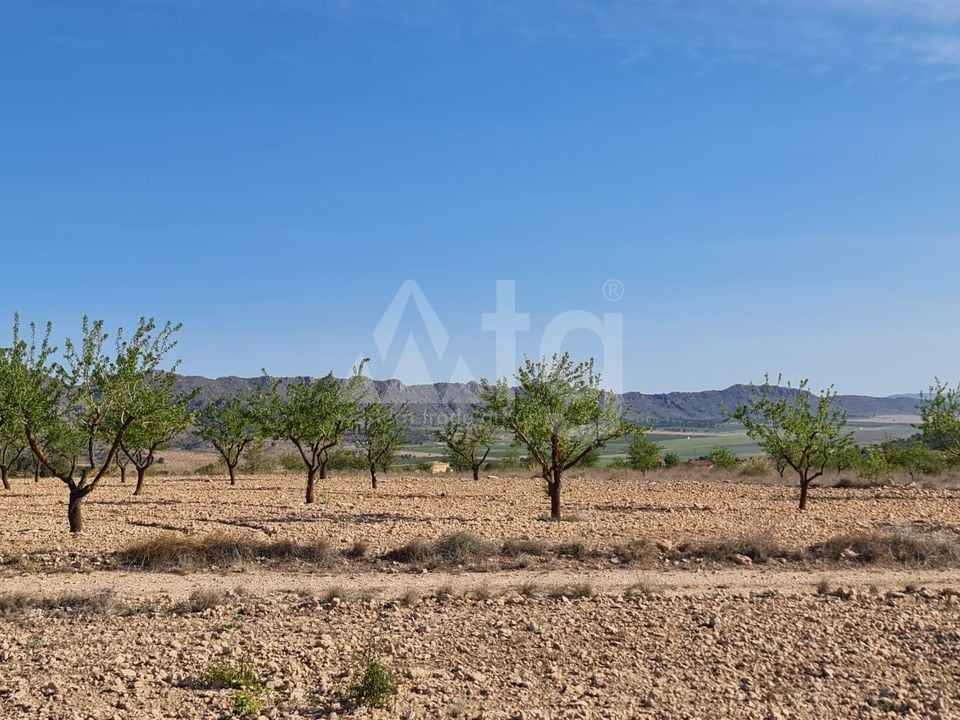  Pozemek v Murcia- SIP67523 - Foto - 19