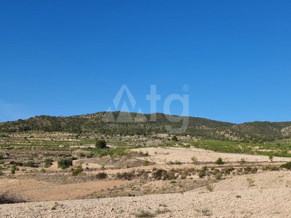 Terrain de  à Jumilla- SIP67525 - Photo - 4