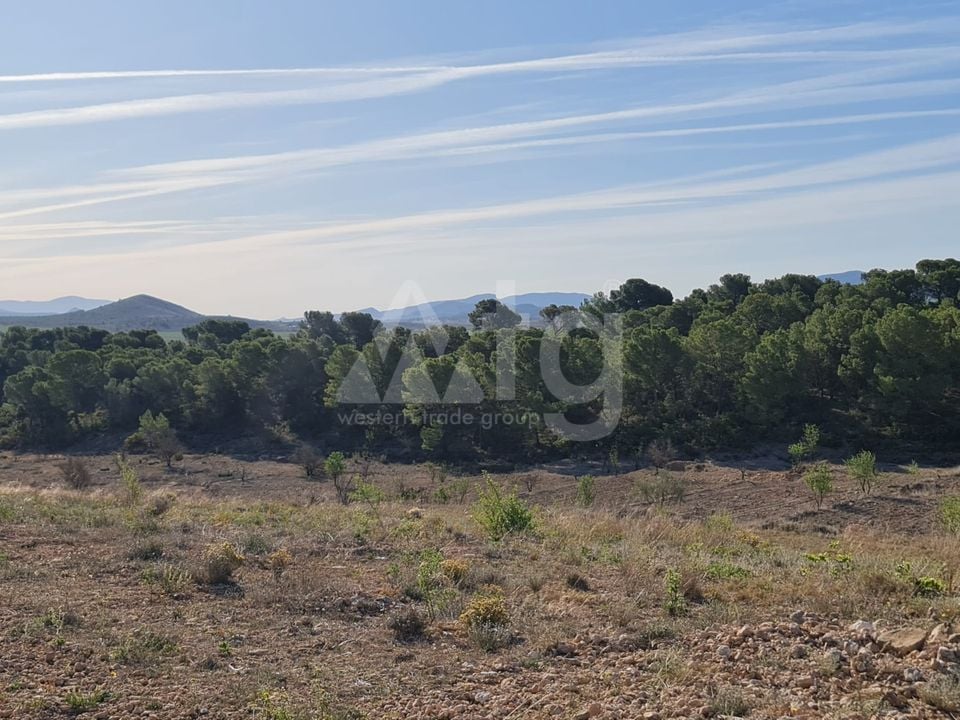 Terrain de  à Jumilla- SIP67525 - Photo - 8