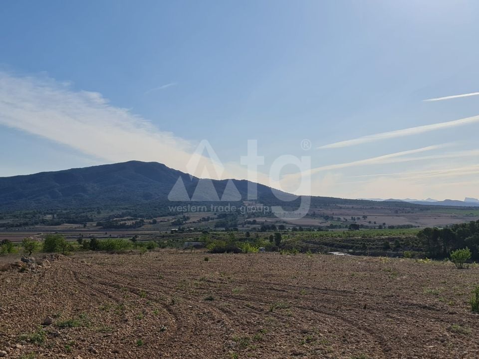 Terrain de  à Jumilla- SIP67525 - Photo - 1