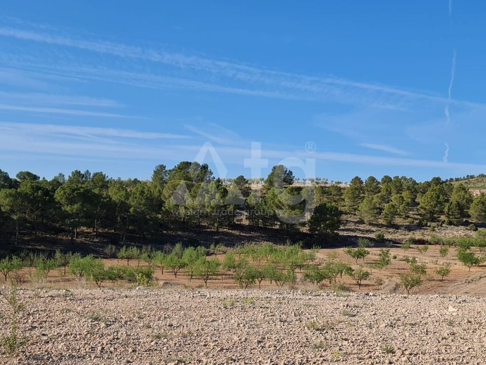 Terrain de  à Jumilla- SIP67525 - Photo - 9