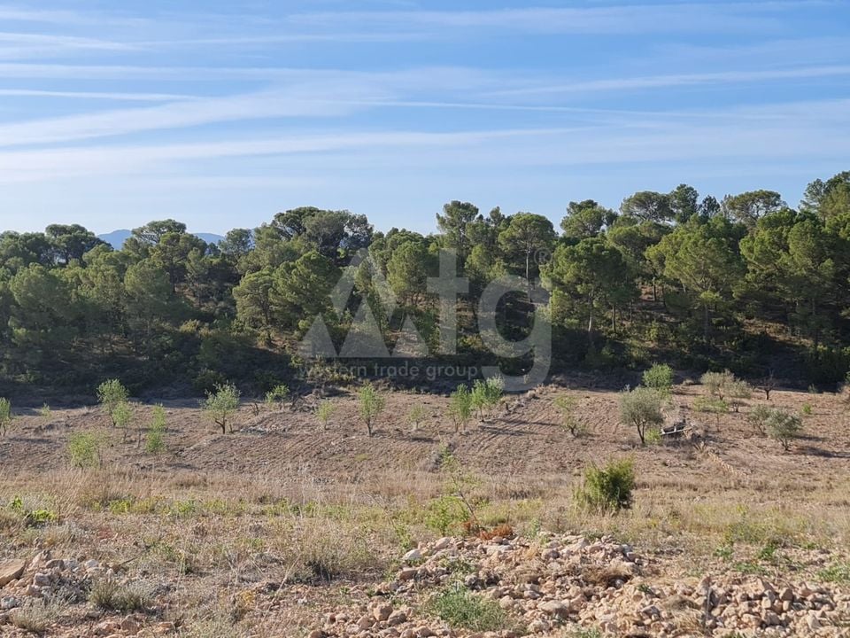 Terrain de  à Jumilla- SIP67525 - Photo - 10