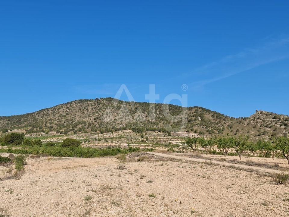 Terrain de  à Jumilla- SIP67525 - Photo - 12