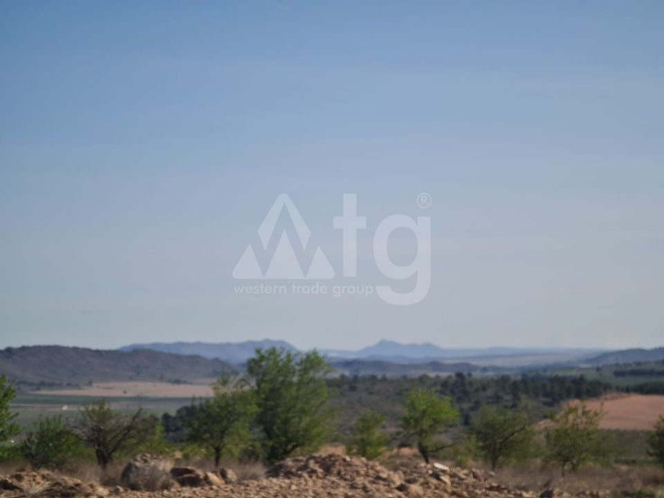 Terrain de  à Jumilla- SIP67525 - Photo - 11