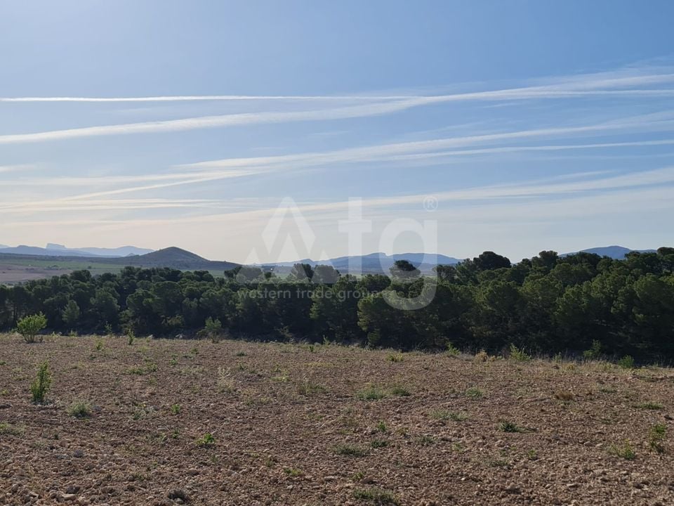 Terrain de  à Jumilla- SIP67525 - Photo - 14