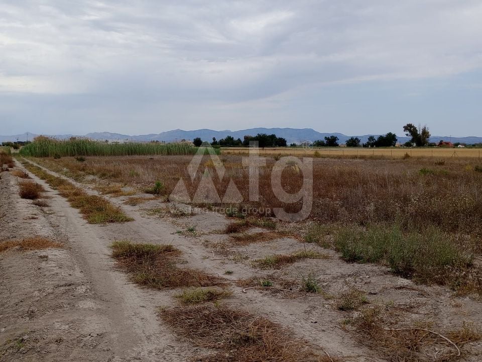  Grundstück in San Fulgencio- TT56661 - Foto - 6
