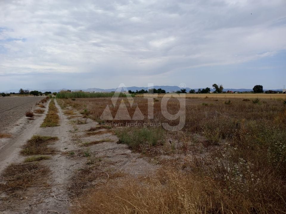  Grundstück in San Fulgencio- TT56661 - Foto - 7