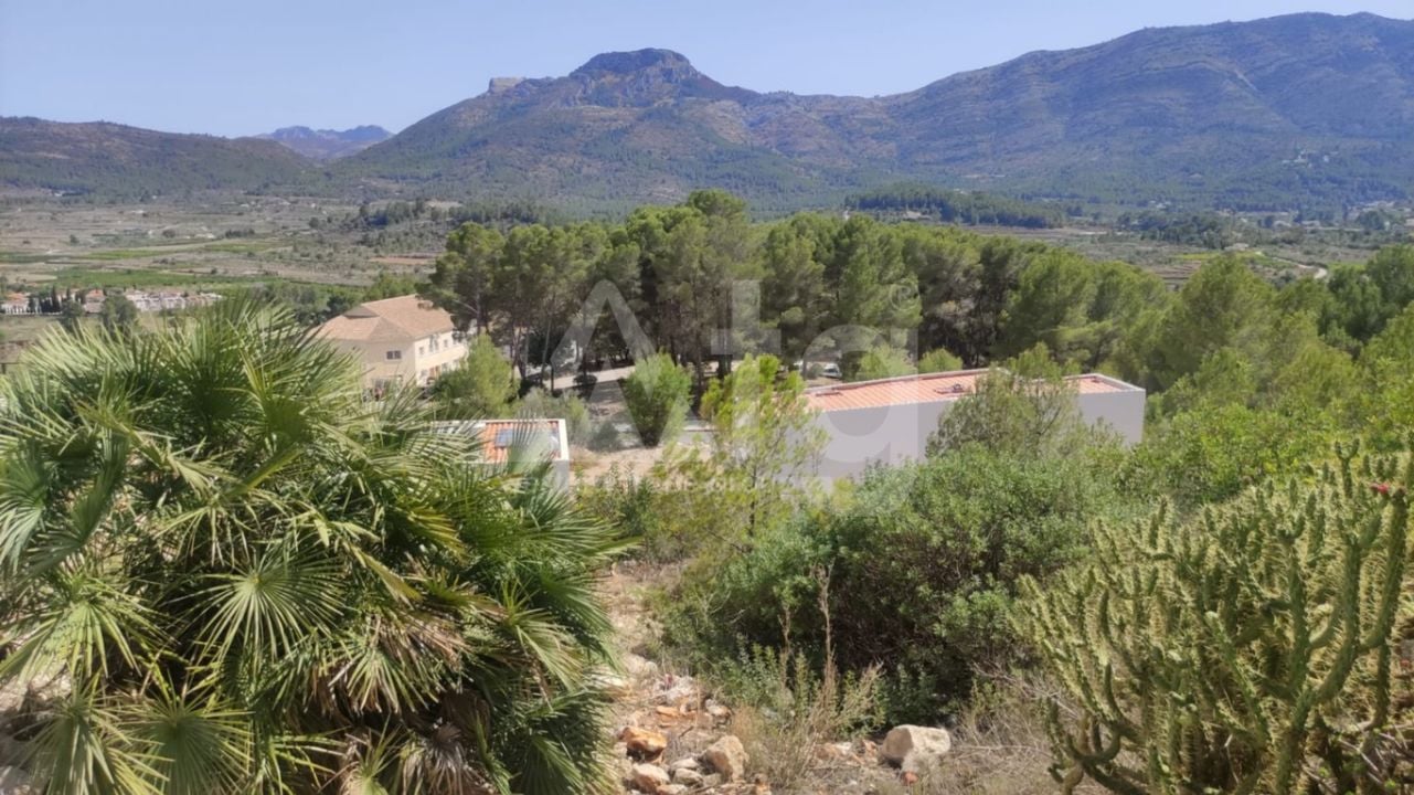  Pozemek v Alcalalí- OH57158 - Foto - 2