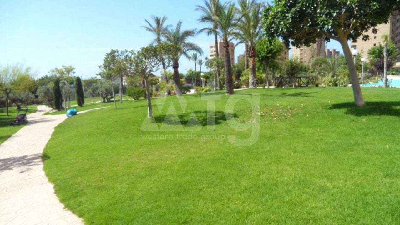 Apartamento de 1 habitación en Benidorm - CPP59909 - Foto - 12