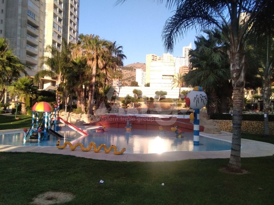 Apartamento de 3 habitaciones en Benidorm - CPP59940 - Foto - 4