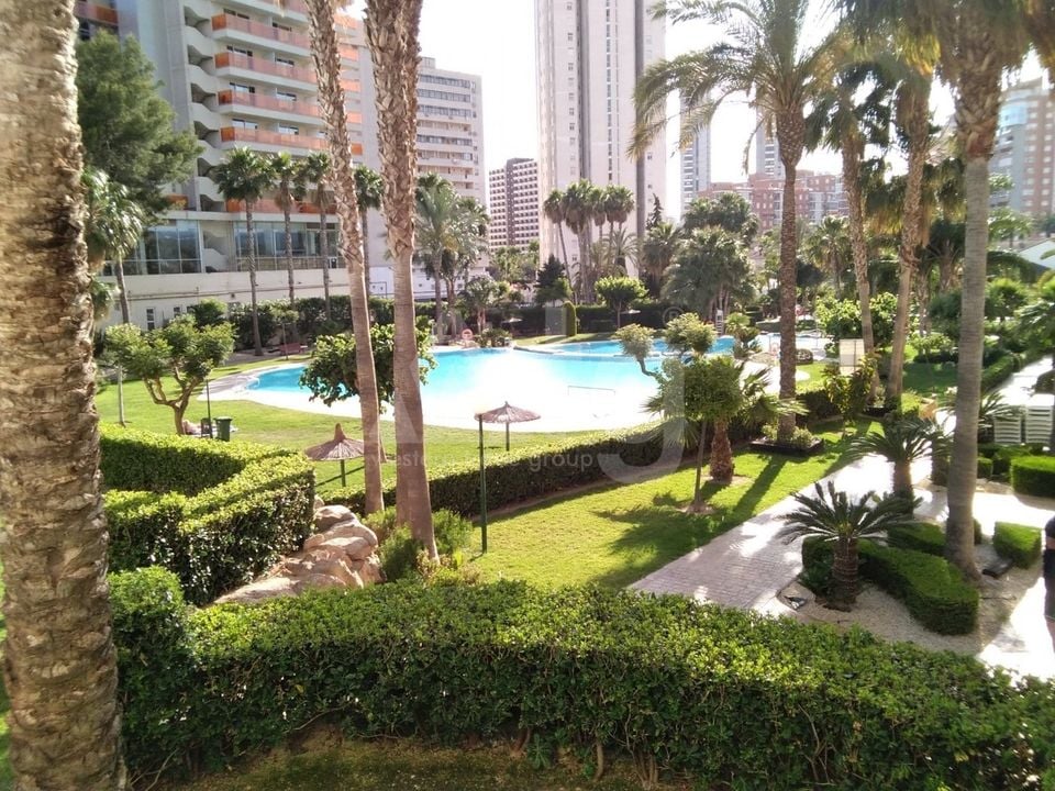 Apartamento de 3 habitaciones en Benidorm - CPP59940 - Foto - 2