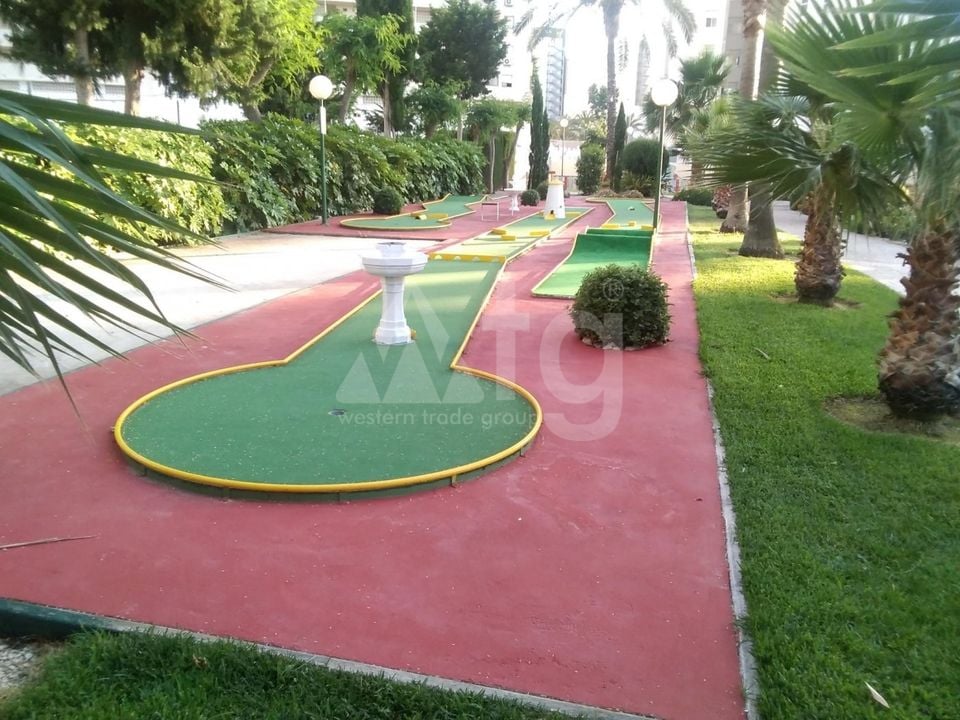 Apartamento de 3 habitaciones en Benidorm - CPP59940 - Foto - 32